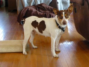 Em looking a bit pregnant!