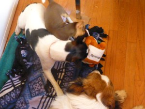 Holly playing with auntie Maddie.