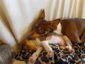 Sammie with little Holly