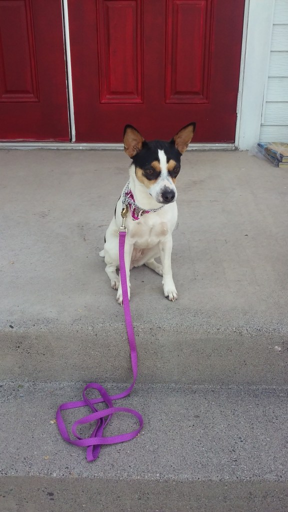 Maddie on church steps 5-21-16