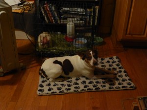 emmalee-and-henreeetta